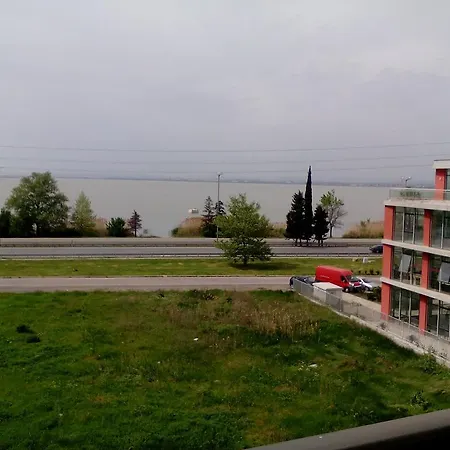 елка Burgas Stad