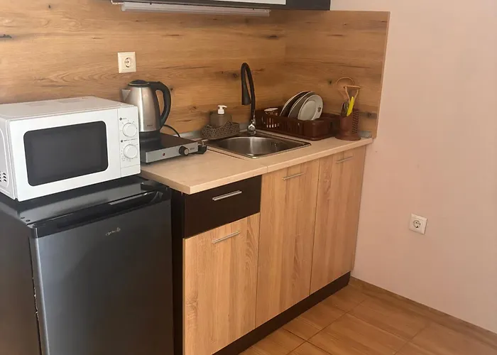 елка Burgas City