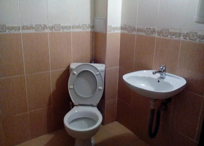 елка Burgas City