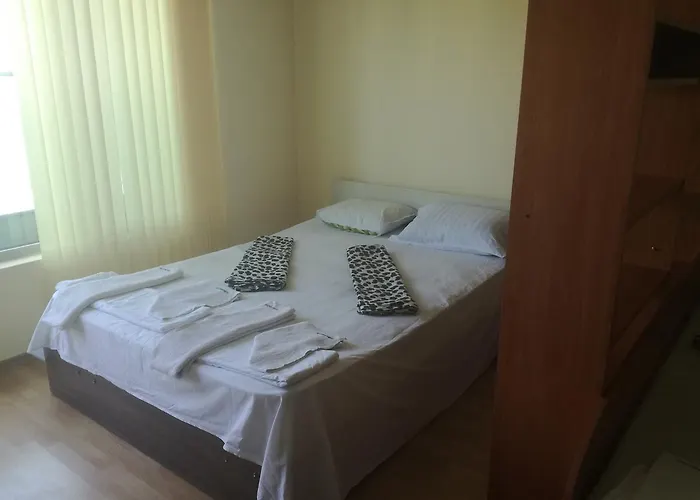 елка * Burgas City