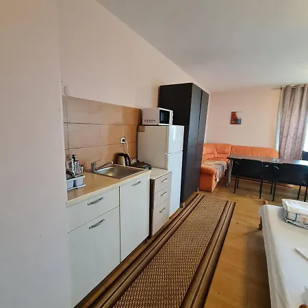 елка Apartment