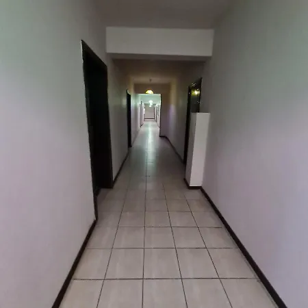 Apartment елка