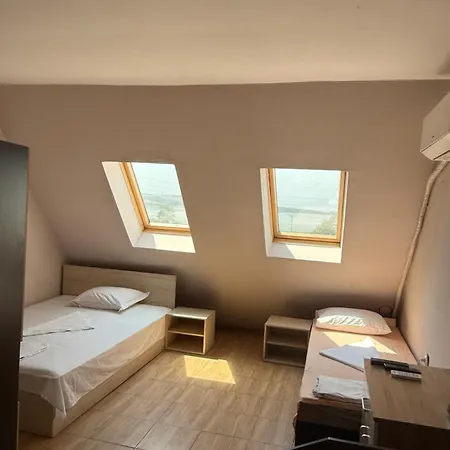 елка * بورغاس