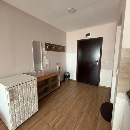 елка Apartment