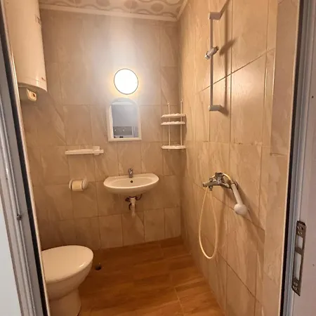 елка Apartment