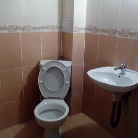 елка بورغاس