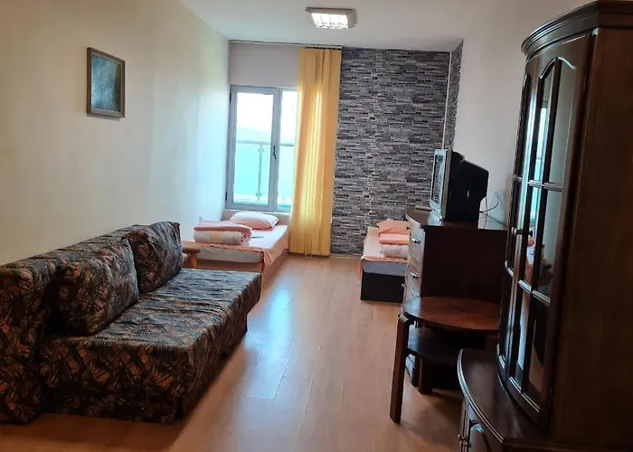 Apartman елка
