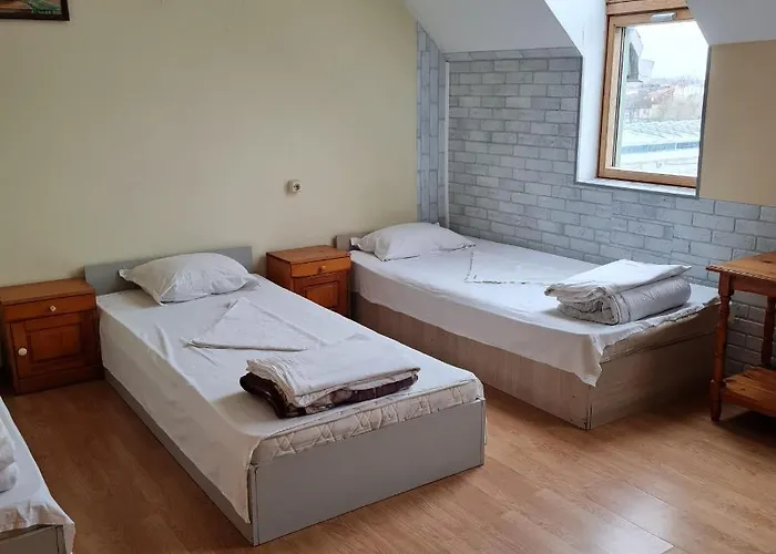 Apartman елка