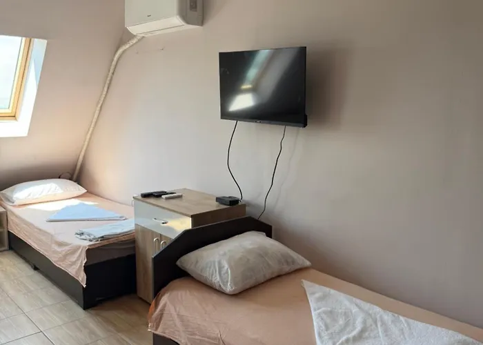 Apartman елка