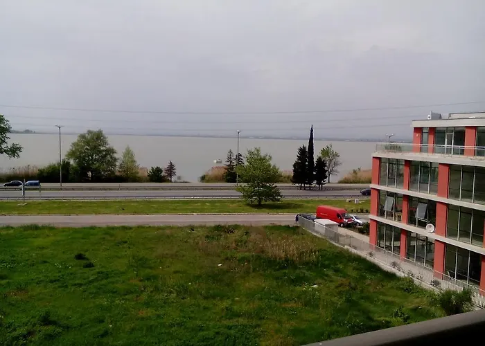 елка בורגאס